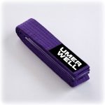 Umer Well Velcro Belt - Image 6