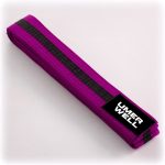 Umer Well Colour Belt / Black Stripe - Image 3